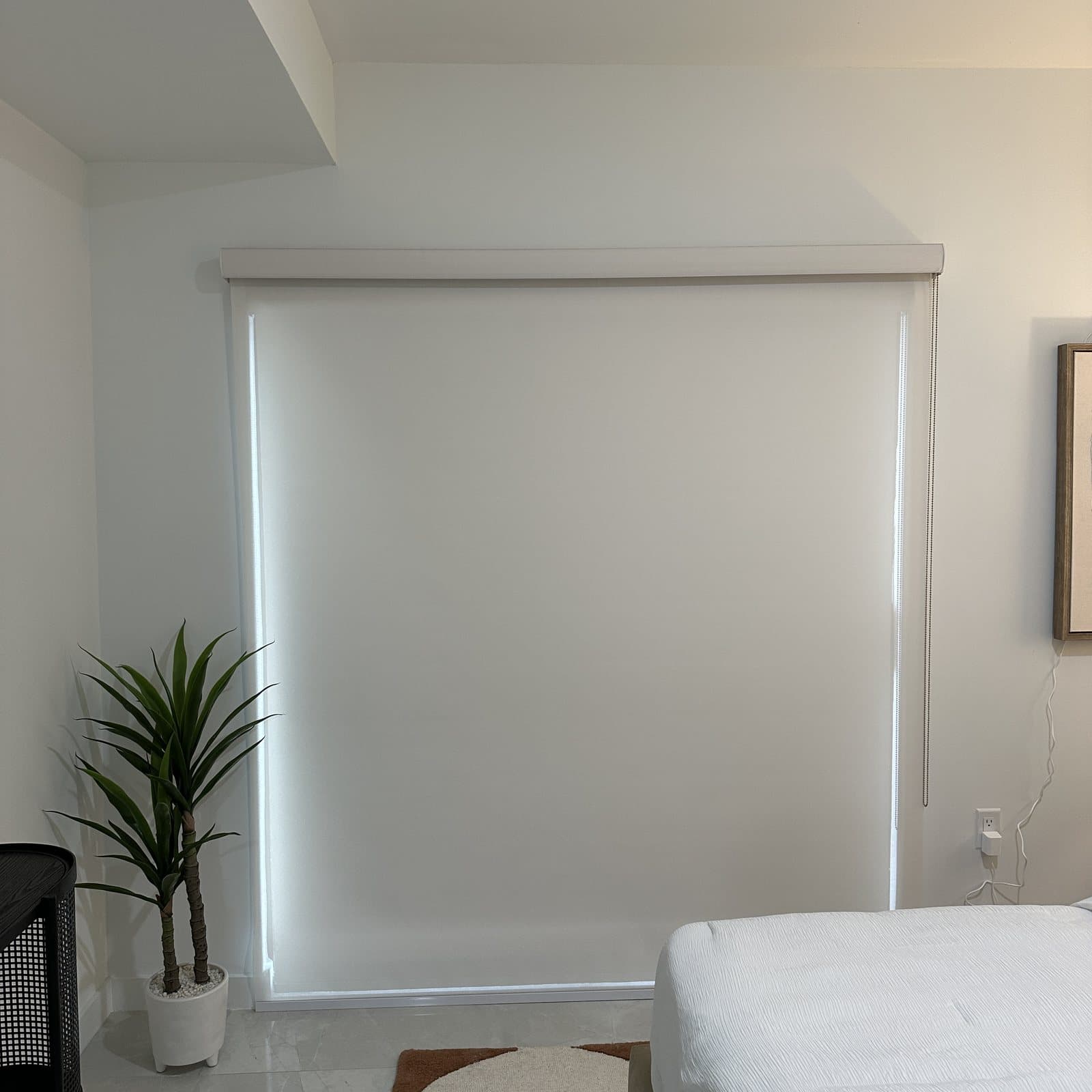 Roller Shades project photo 3 in Homestead
