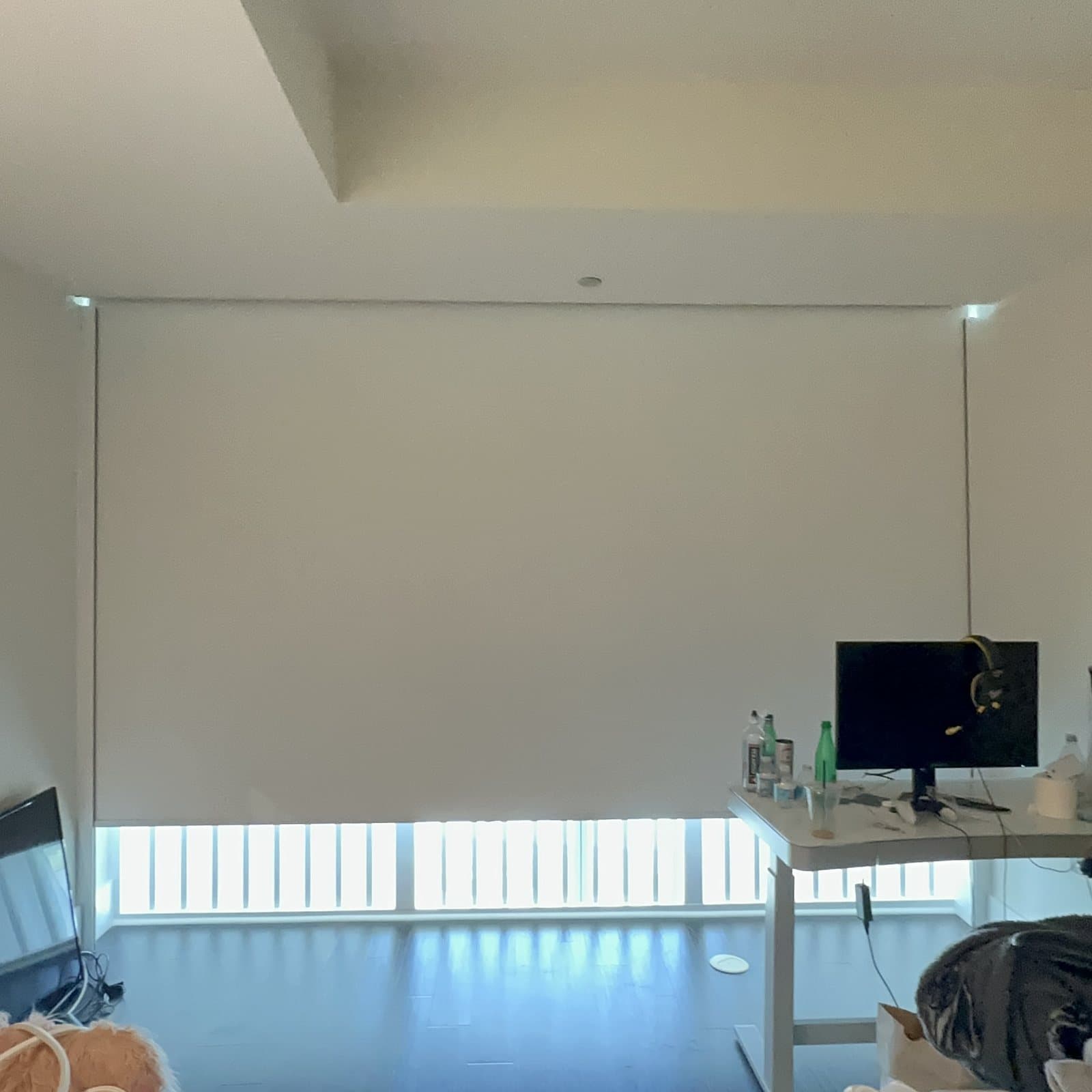 Roller Shades project photo 7 in Miami