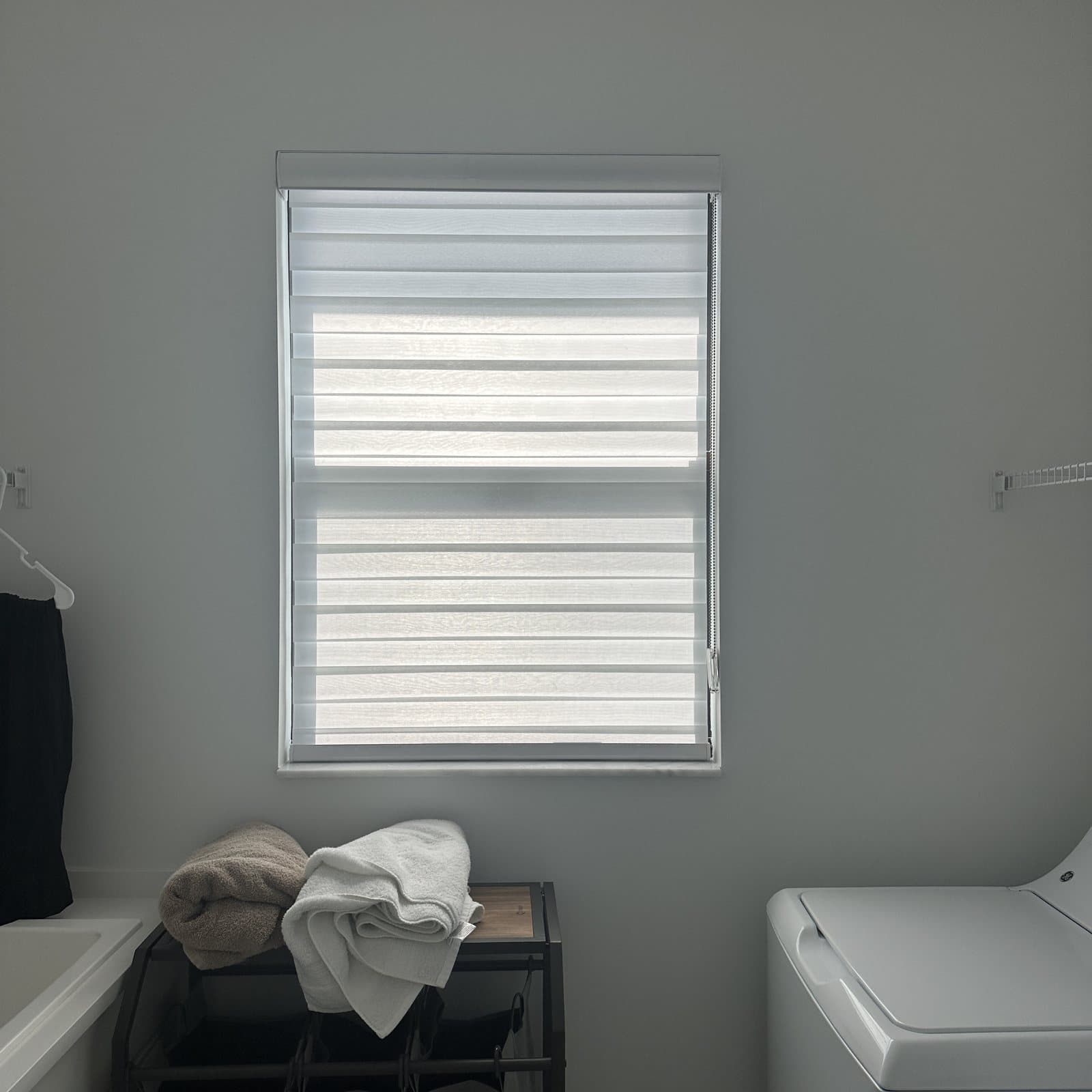 Zebra Shades project photo 1 in Boca Raton
