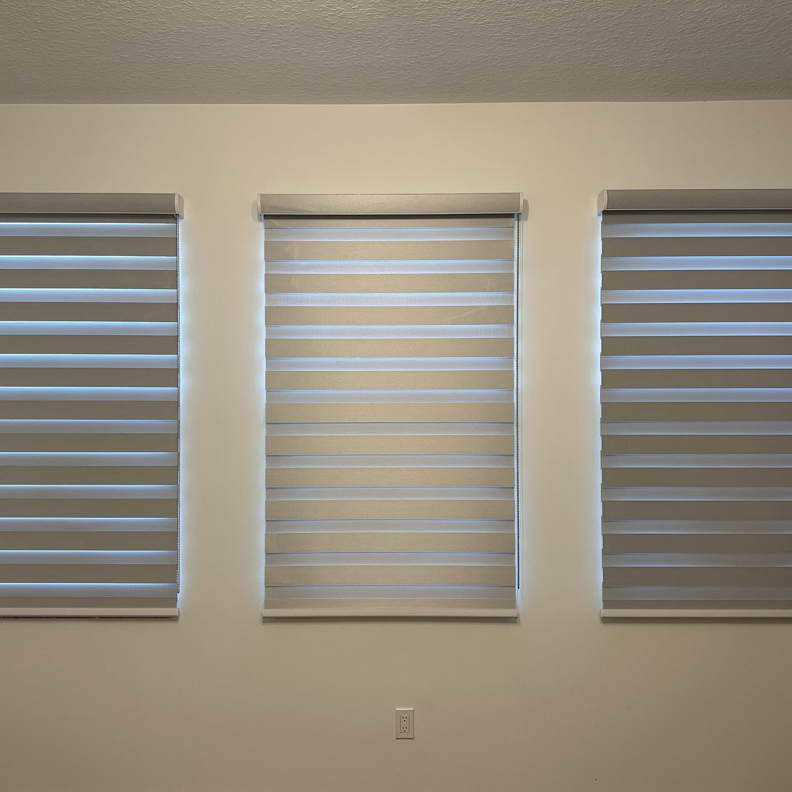 Zebra Shades project photo 4 in Boca Raton