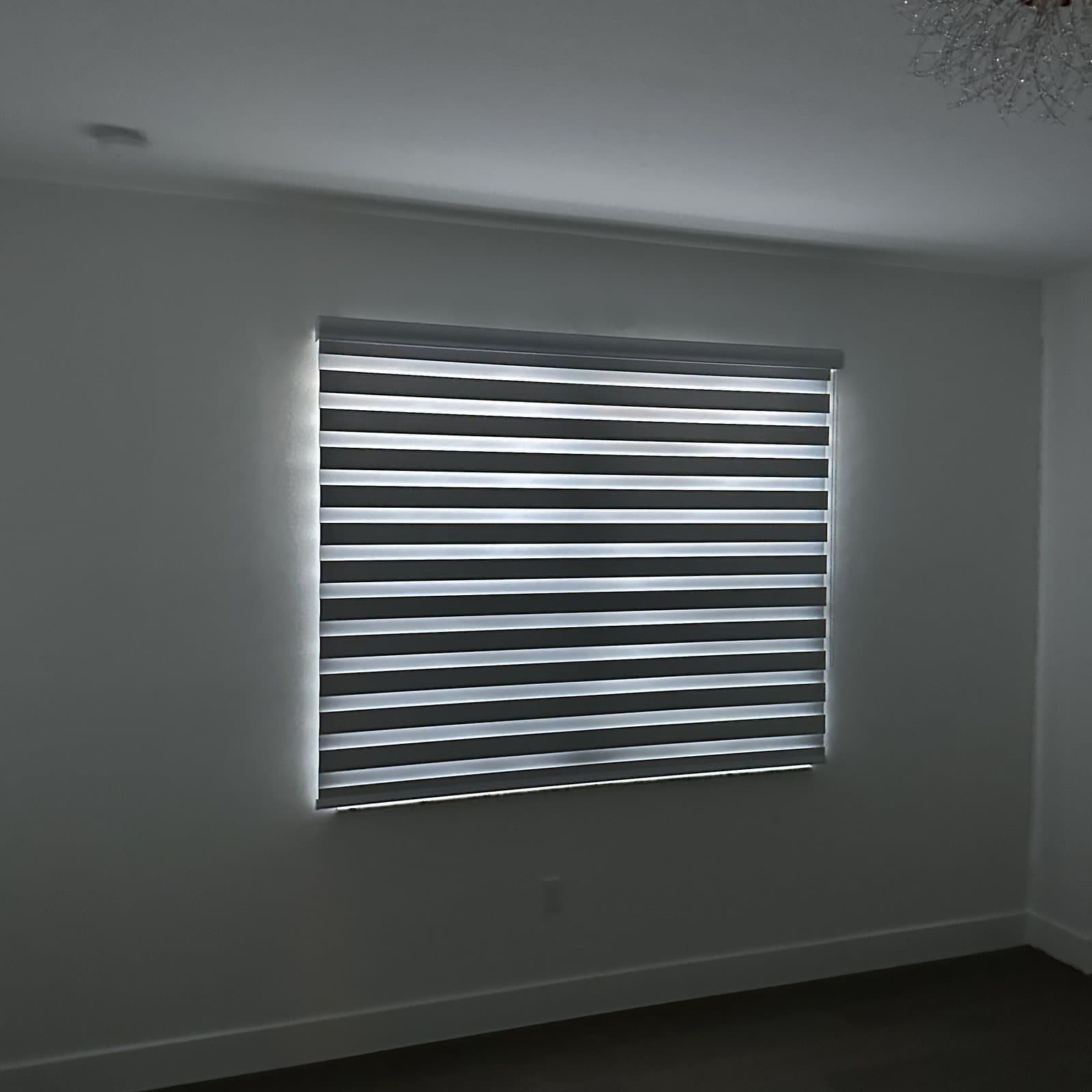 Zebra Shades project photo 5 in Boca Raton