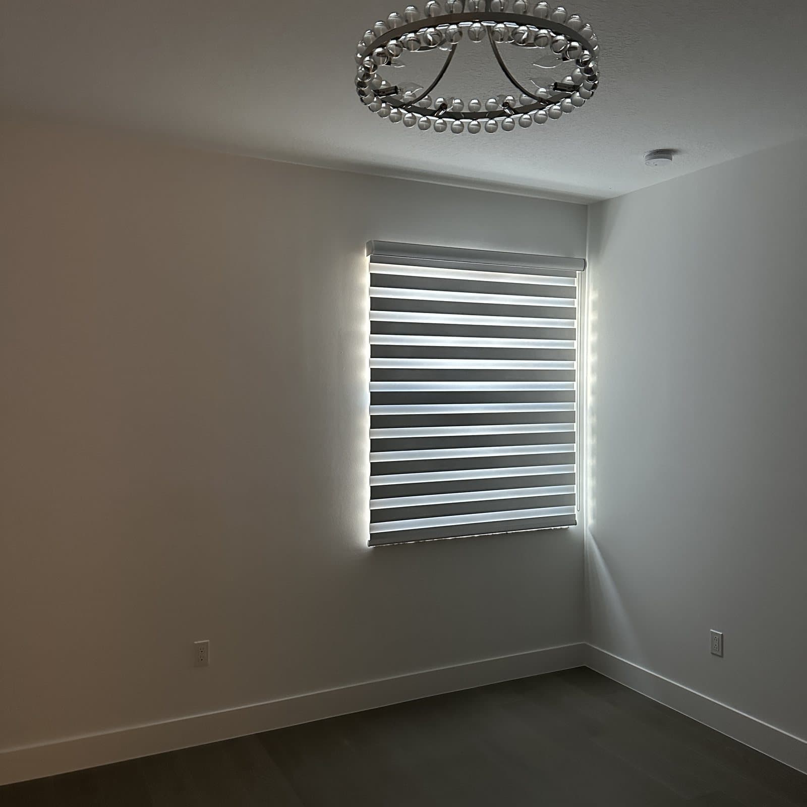 Zebra Shades project photo 6 in Boca Raton