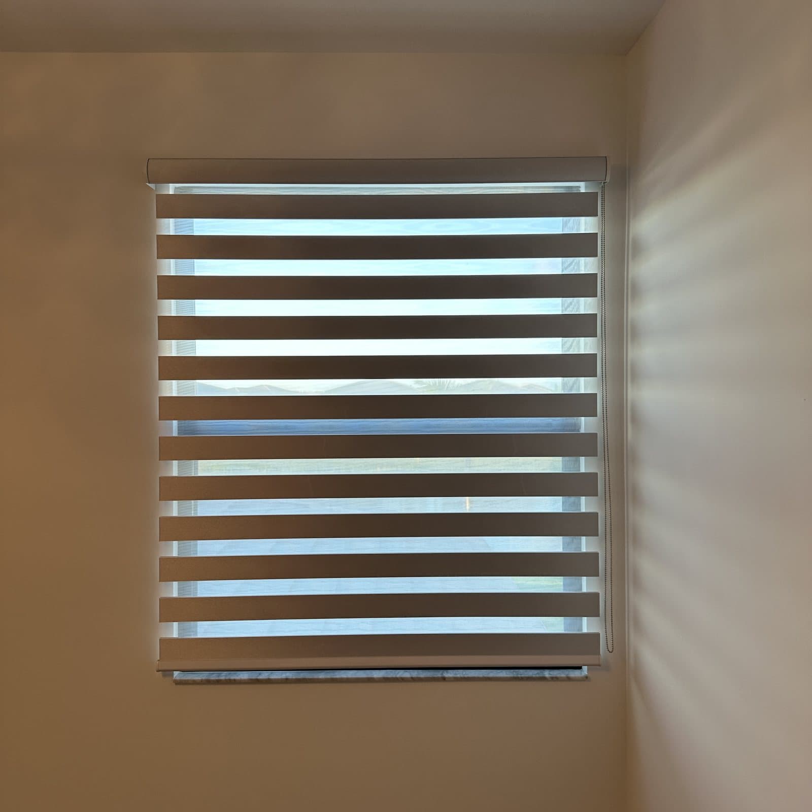 Zebra Shades project photo 8 in Boca Raton