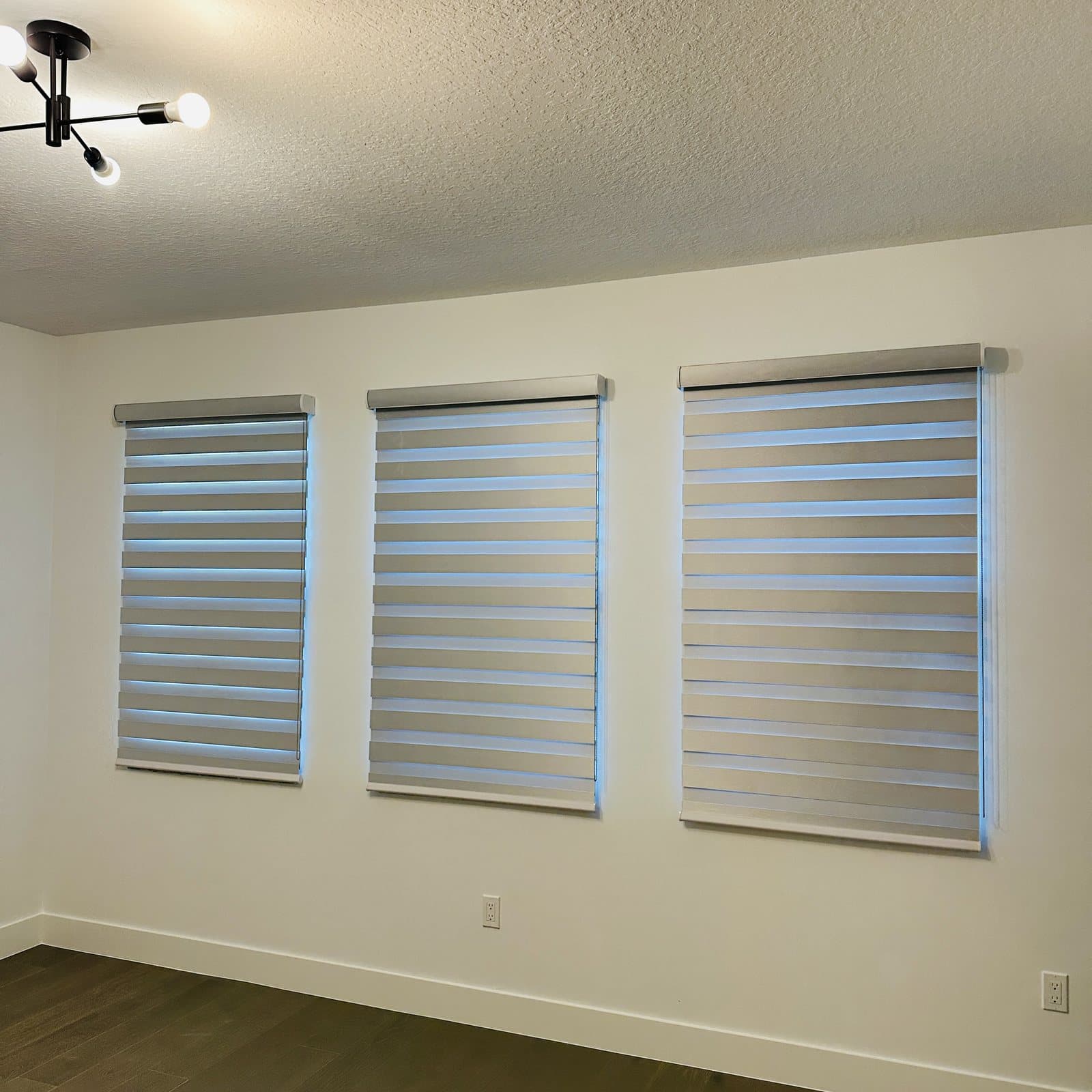 Zebra Shades project photo 9 in Boca Raton