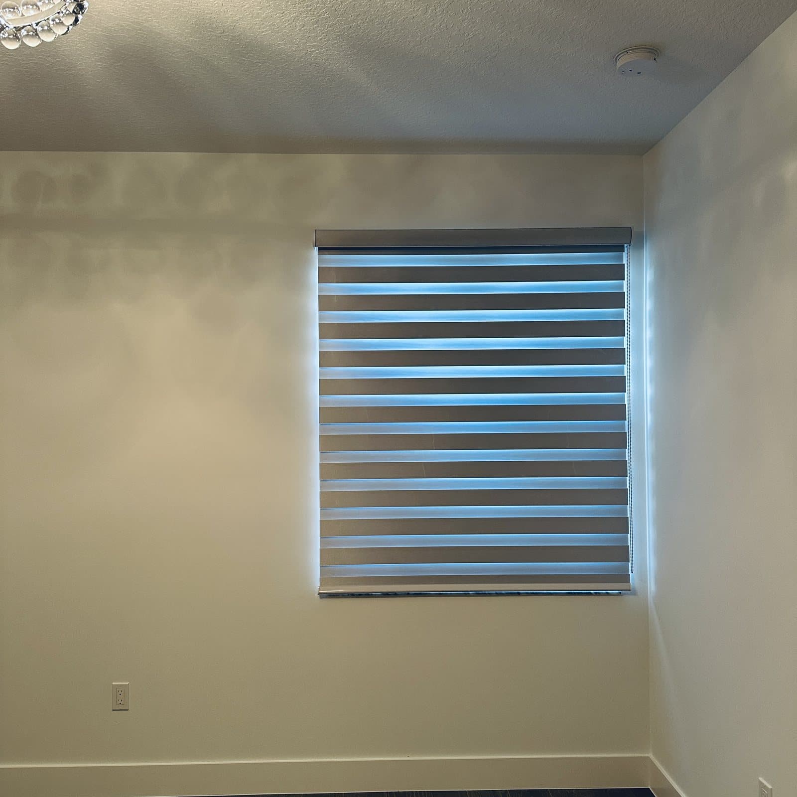 Zebra Shades project photo 10 in Boca Raton