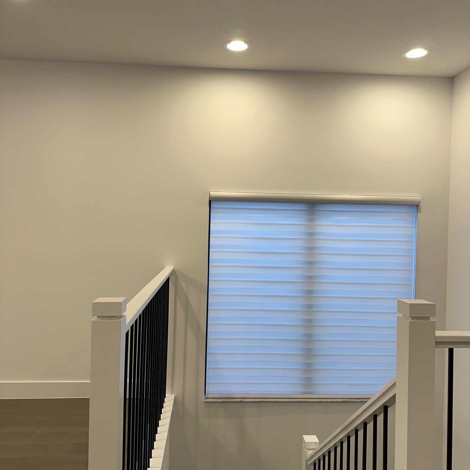Zebra Shades project photo 16 in Boca Raton