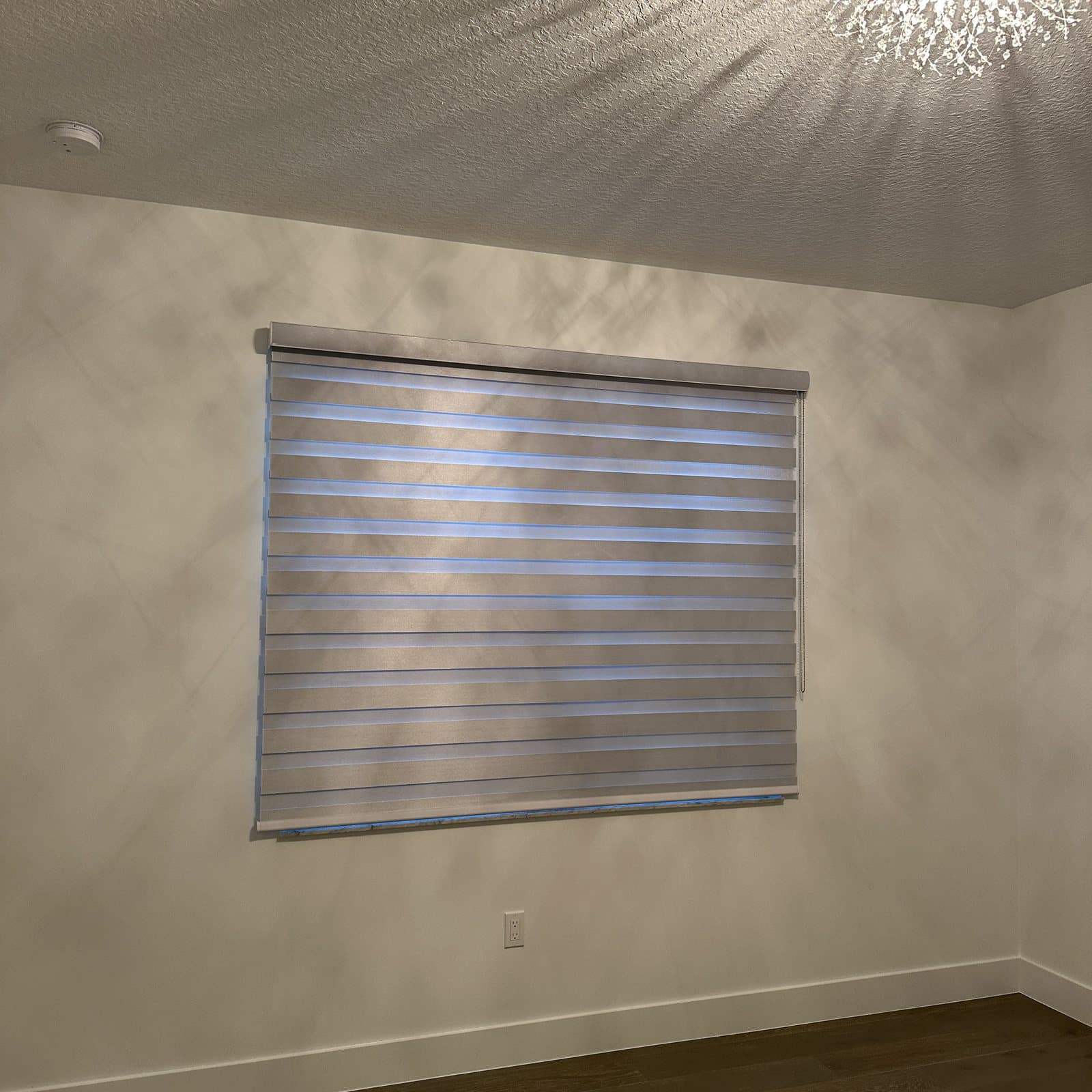 Zebra Shades project photo 18 in Boca Raton