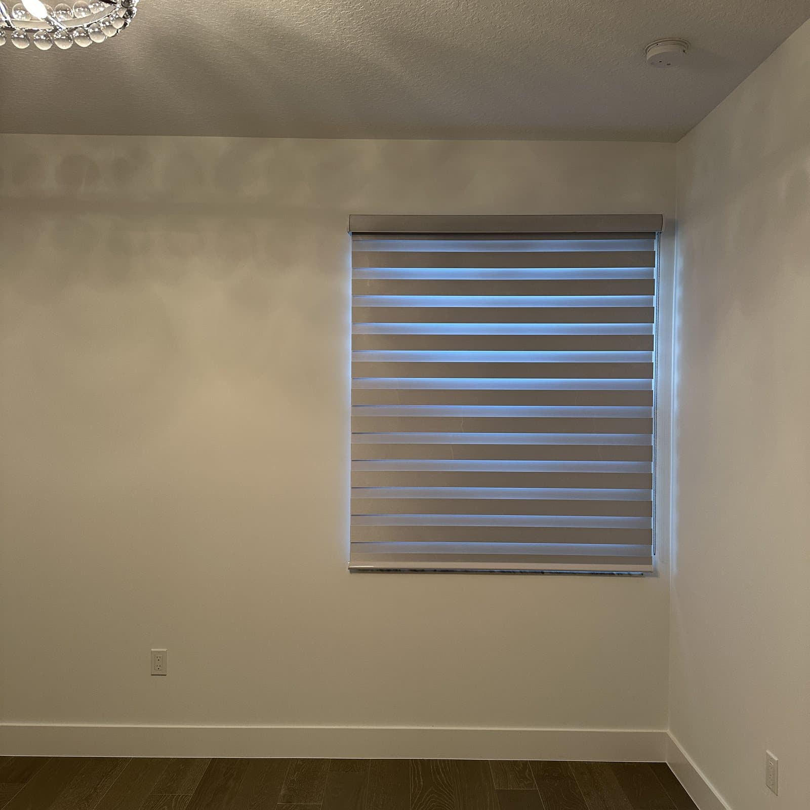 Zebra Shades project photo 19 in Boca Raton