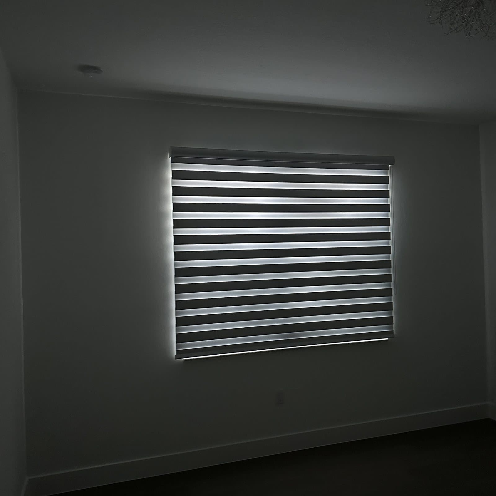Zebra Shades project photo 20 in Boca Raton