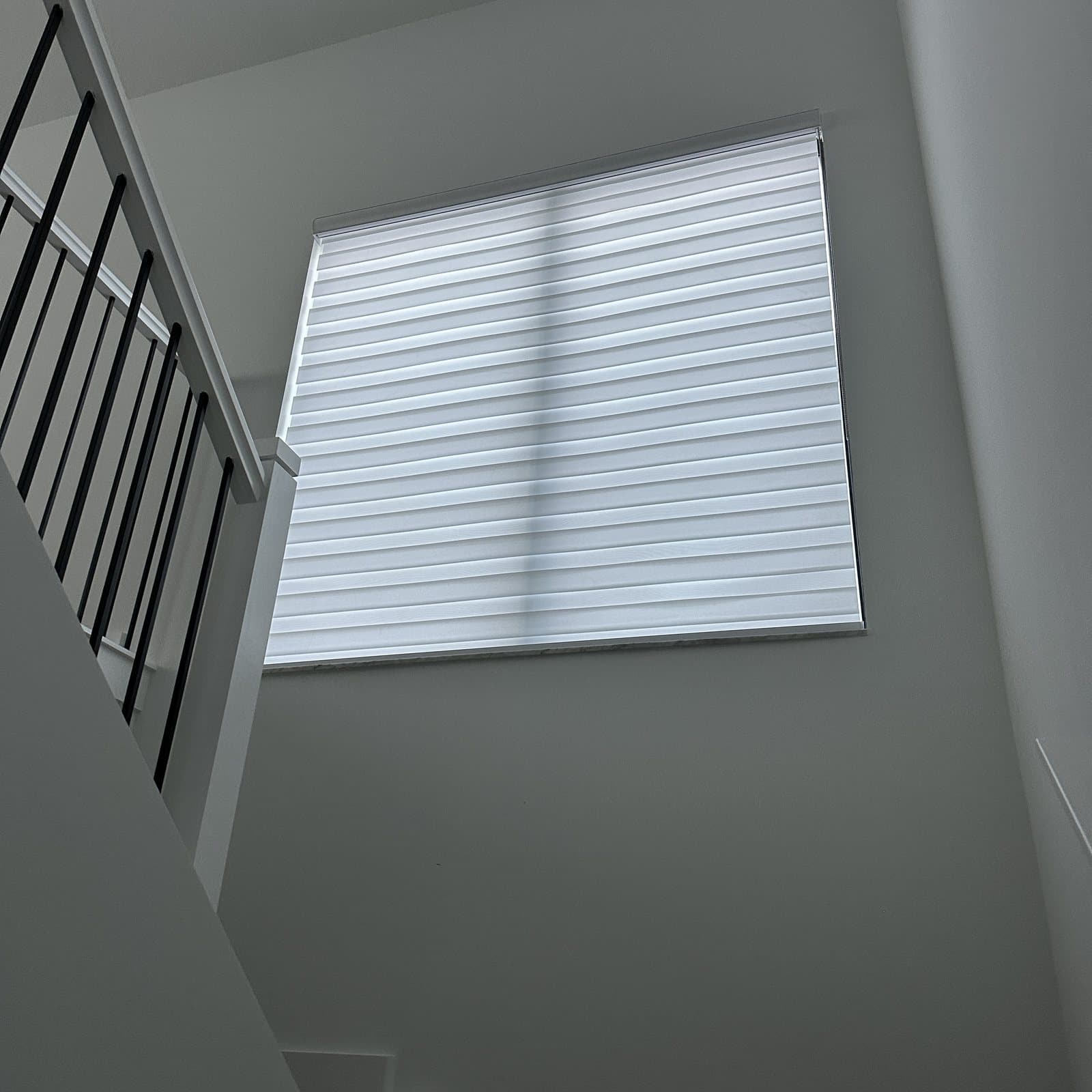 Zebra Shades project photo 22 in Boca Raton