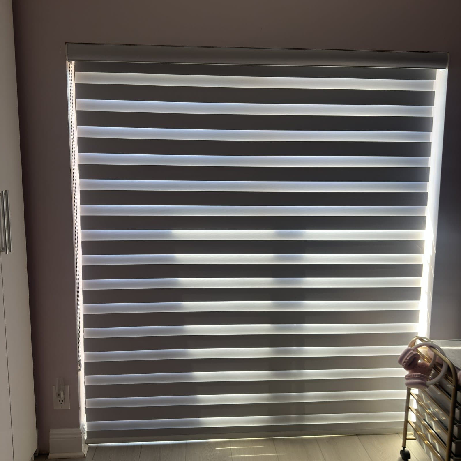Zebra Shades project photo 27 in Boca Raton