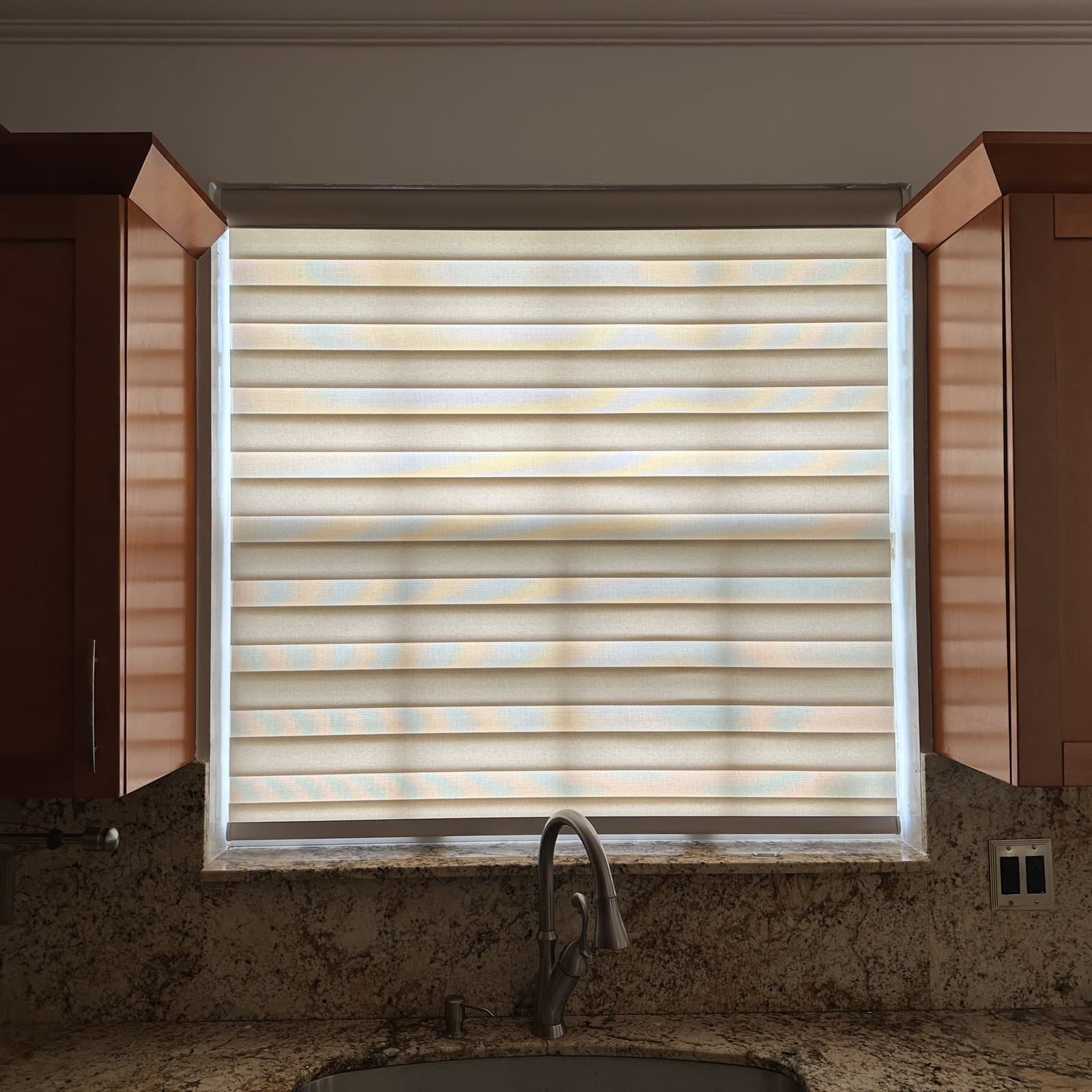 Zebra Shades project photo 5 in Coral Springs