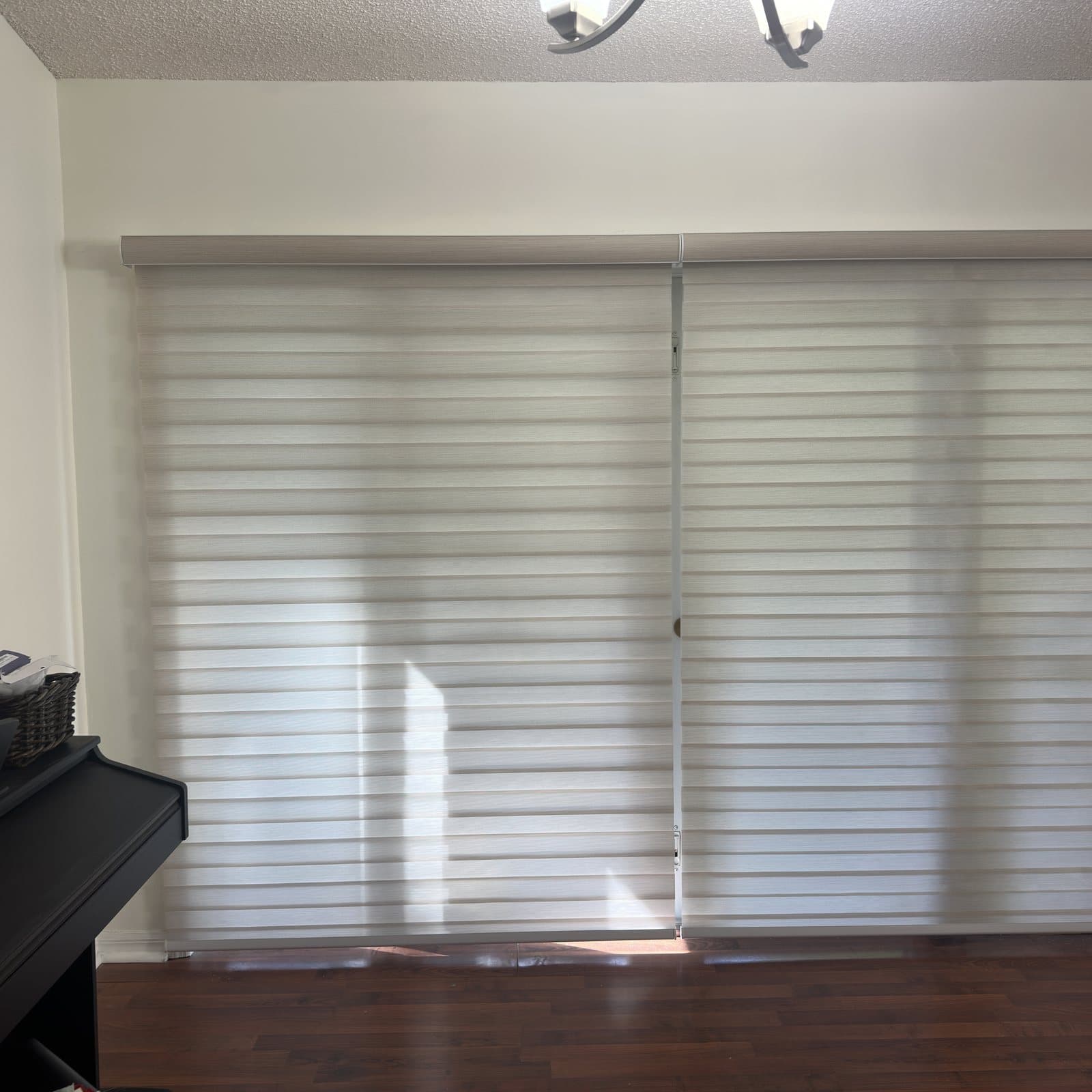 Zebra Shades project photo 2 in Davie