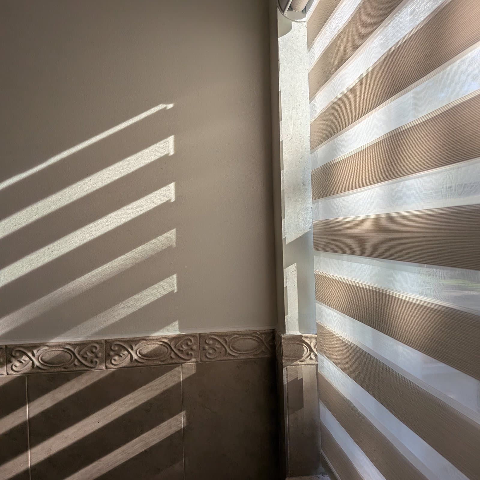 Zebra Shades project photo 1 in Hollywood