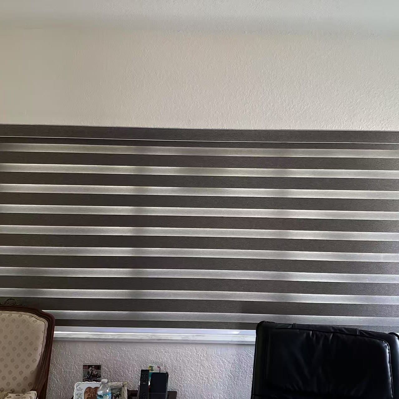 Zebra Shades project photo 3 in Hollywood
