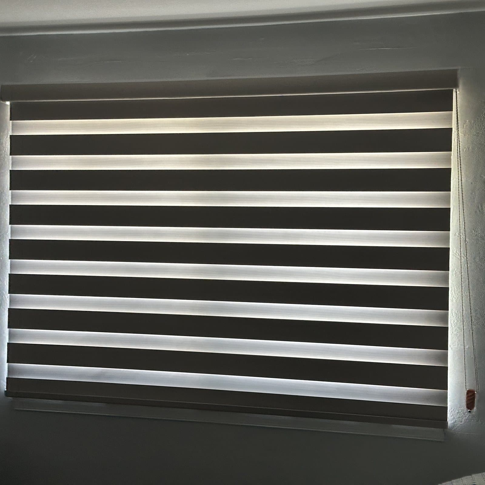 Zebra Shades project photo 5 in Hollywood