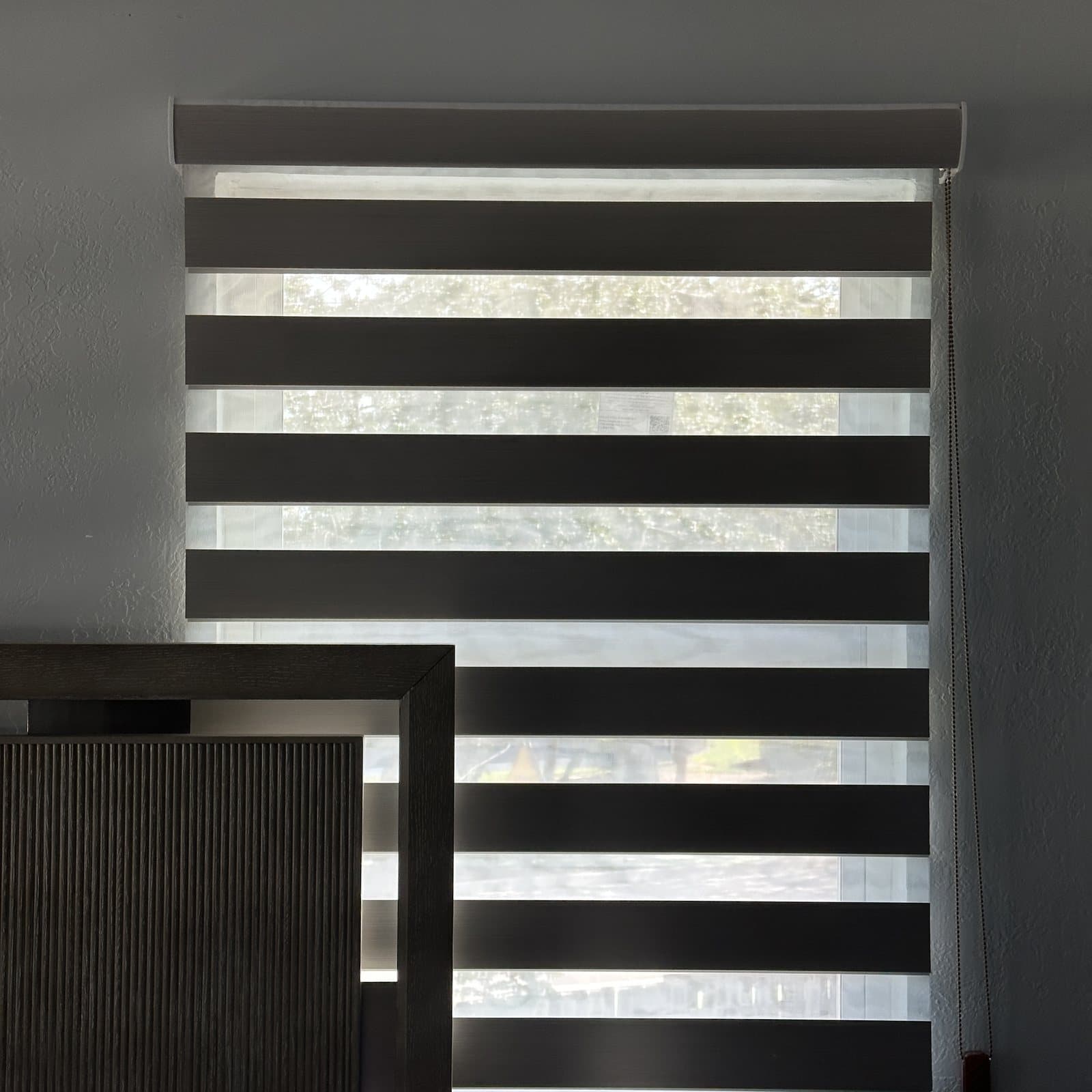 Zebra Shades project photo 8 in Hollywood