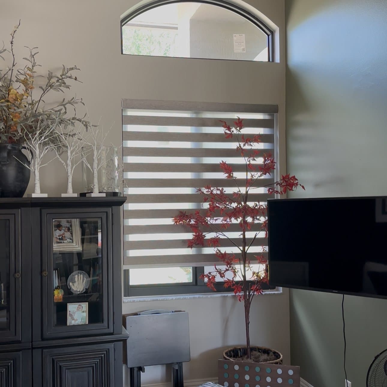 Zebra Shades project photo 1 in Plantation