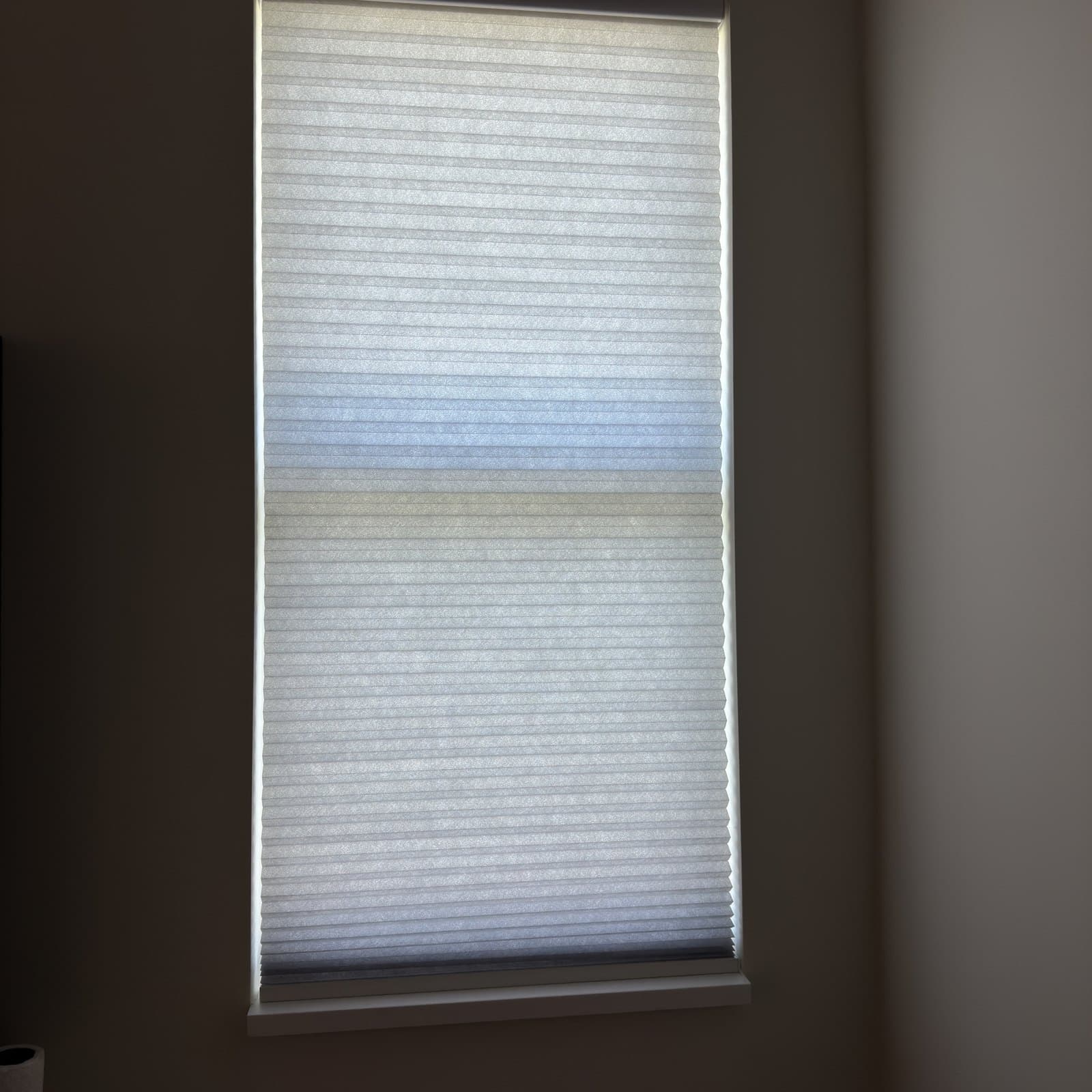 Cellular Shades installation in Naples