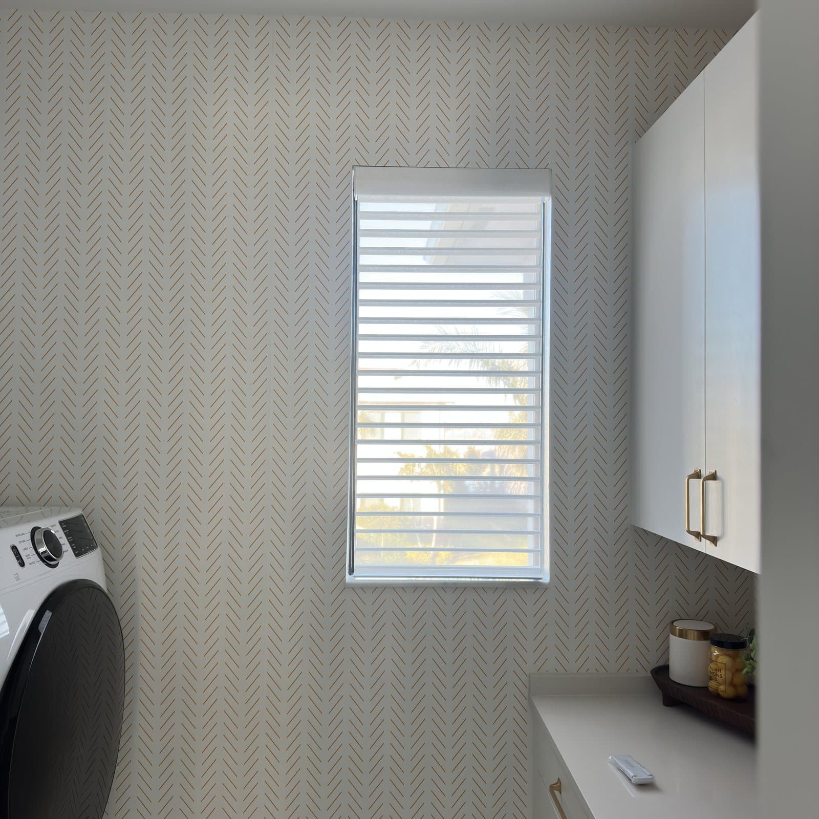Sheer Roller project photo 3 in Palm Beach Gardens