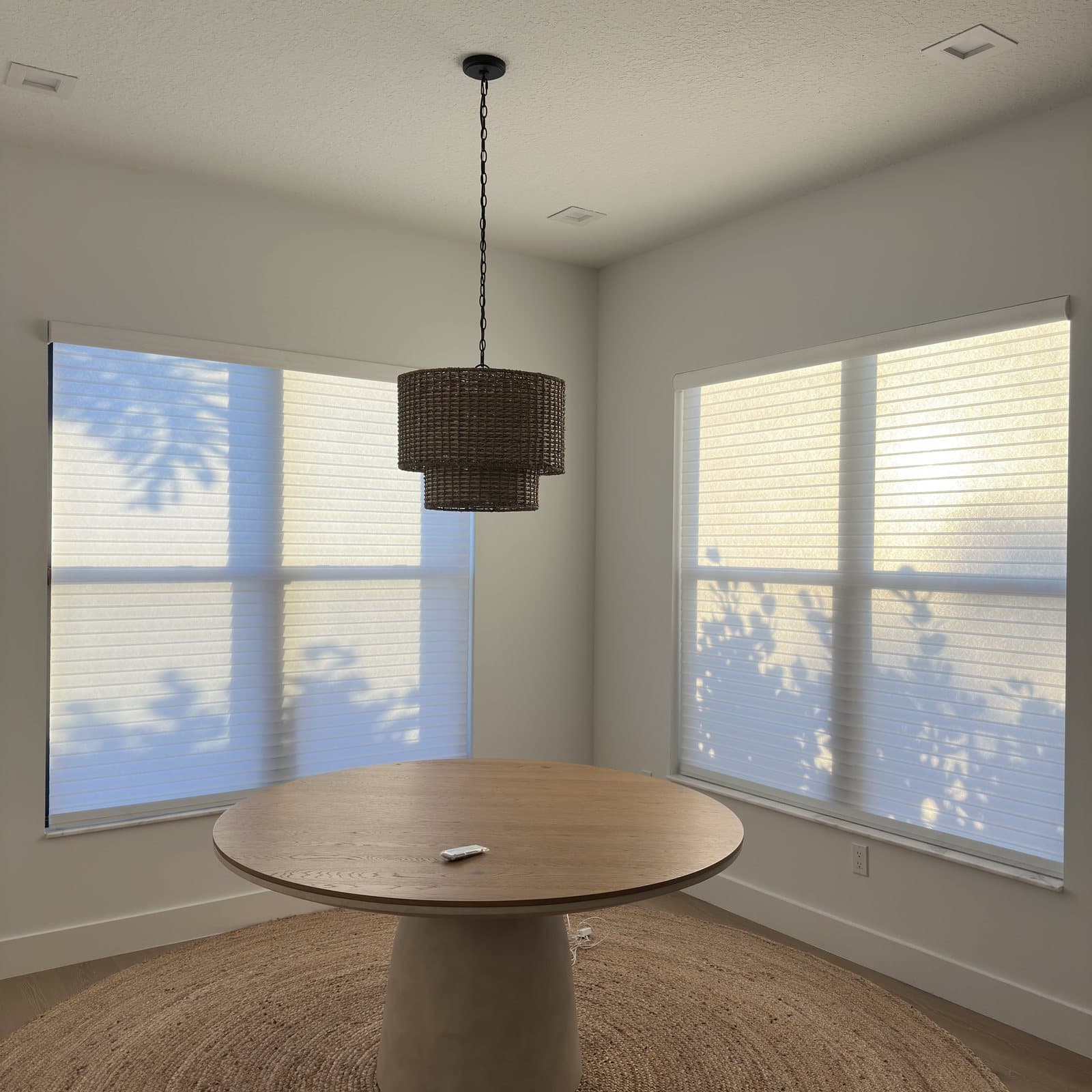 Sheer Roller project photo 5 in Palm Beach Gardens