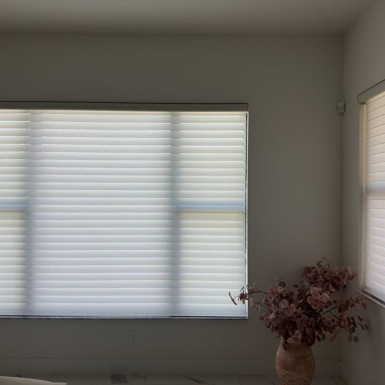 Sheer Roller project photo 2 in West Palm Beach