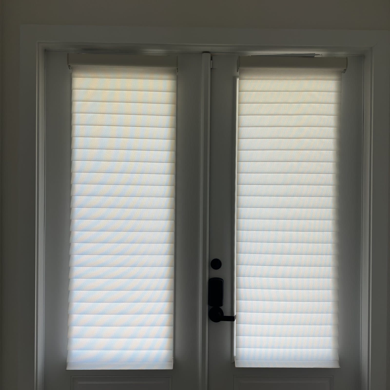 Sheer Roller project photo 4 in West Palm Beach