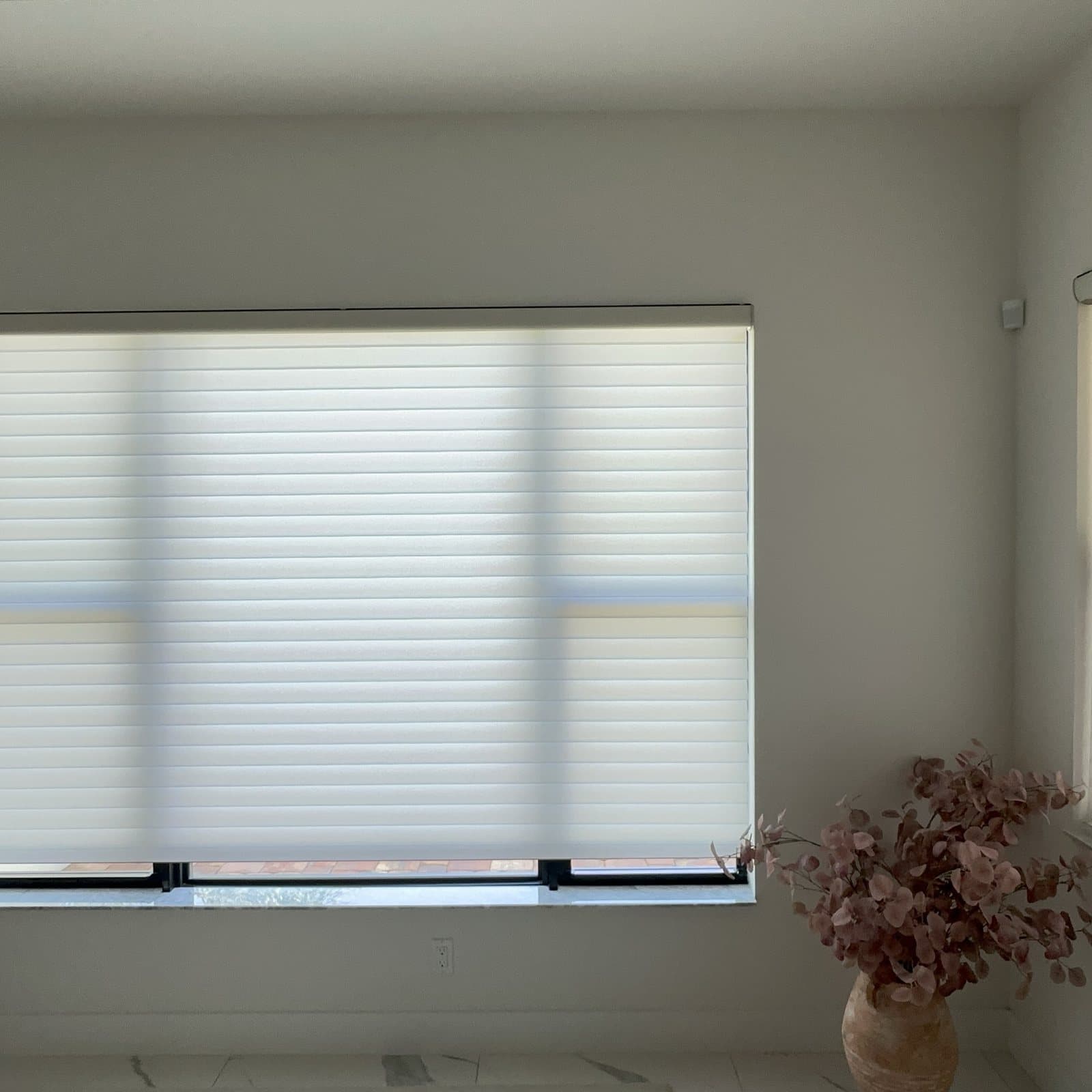 Sheer Roller project photo 8 in West Palm Beach
