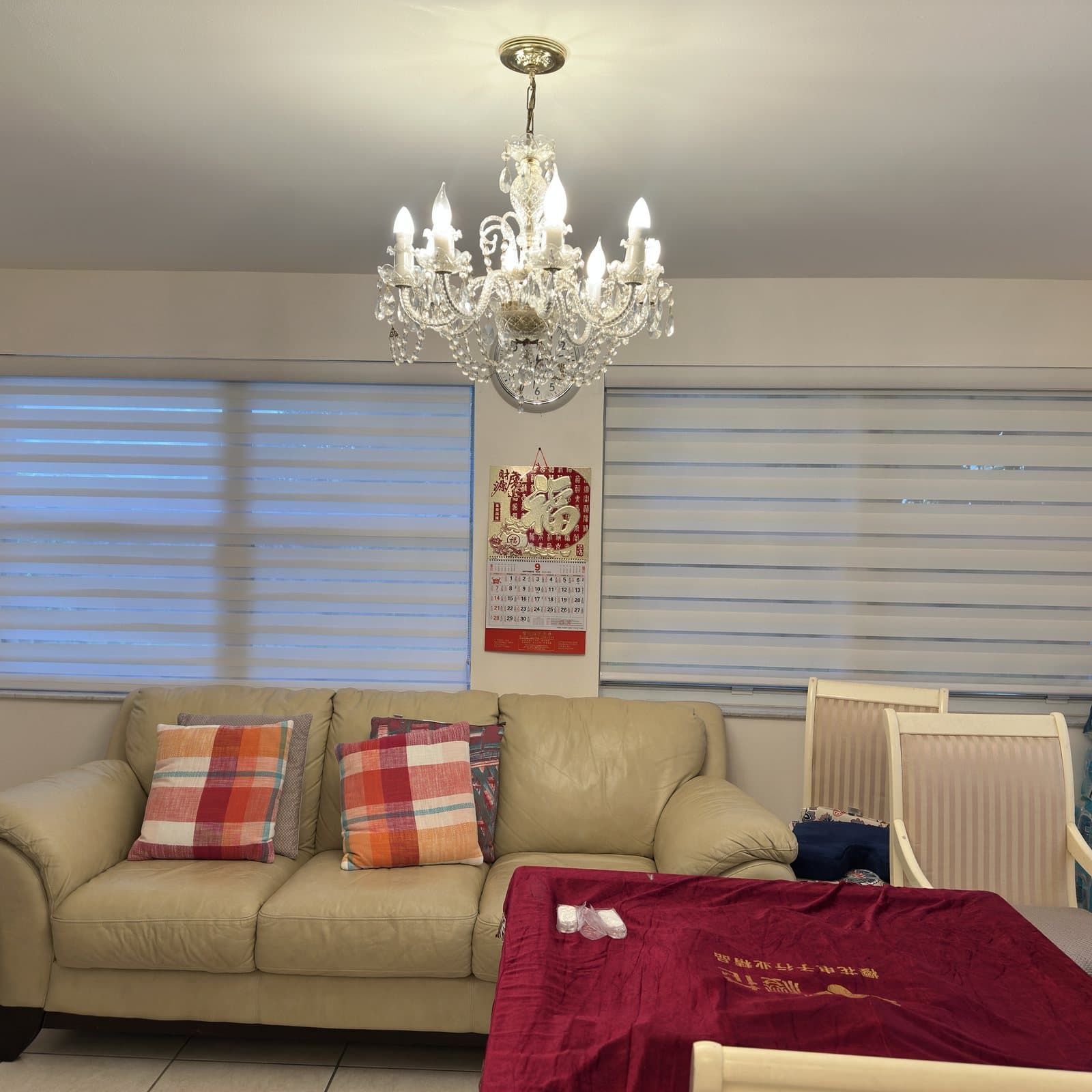 Zebra Shades project photo 12 in Fort Lauderdale
