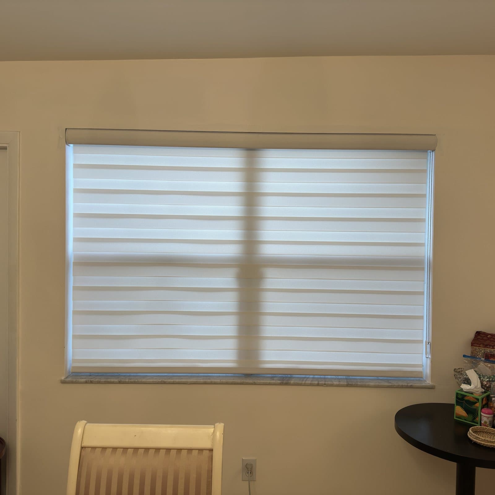 Zebra Shades project photo 13 in Fort Lauderdale