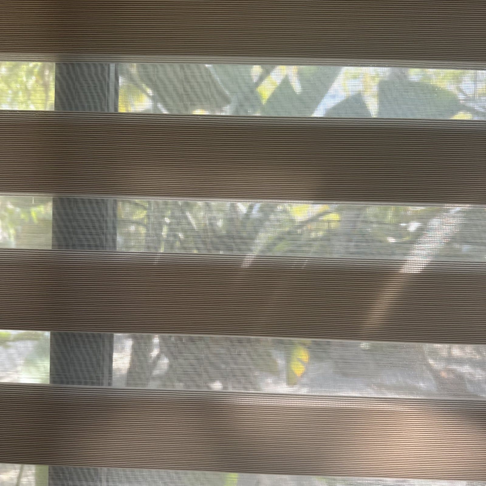 Zebra Shades project photo 20 in Fort Lauderdale