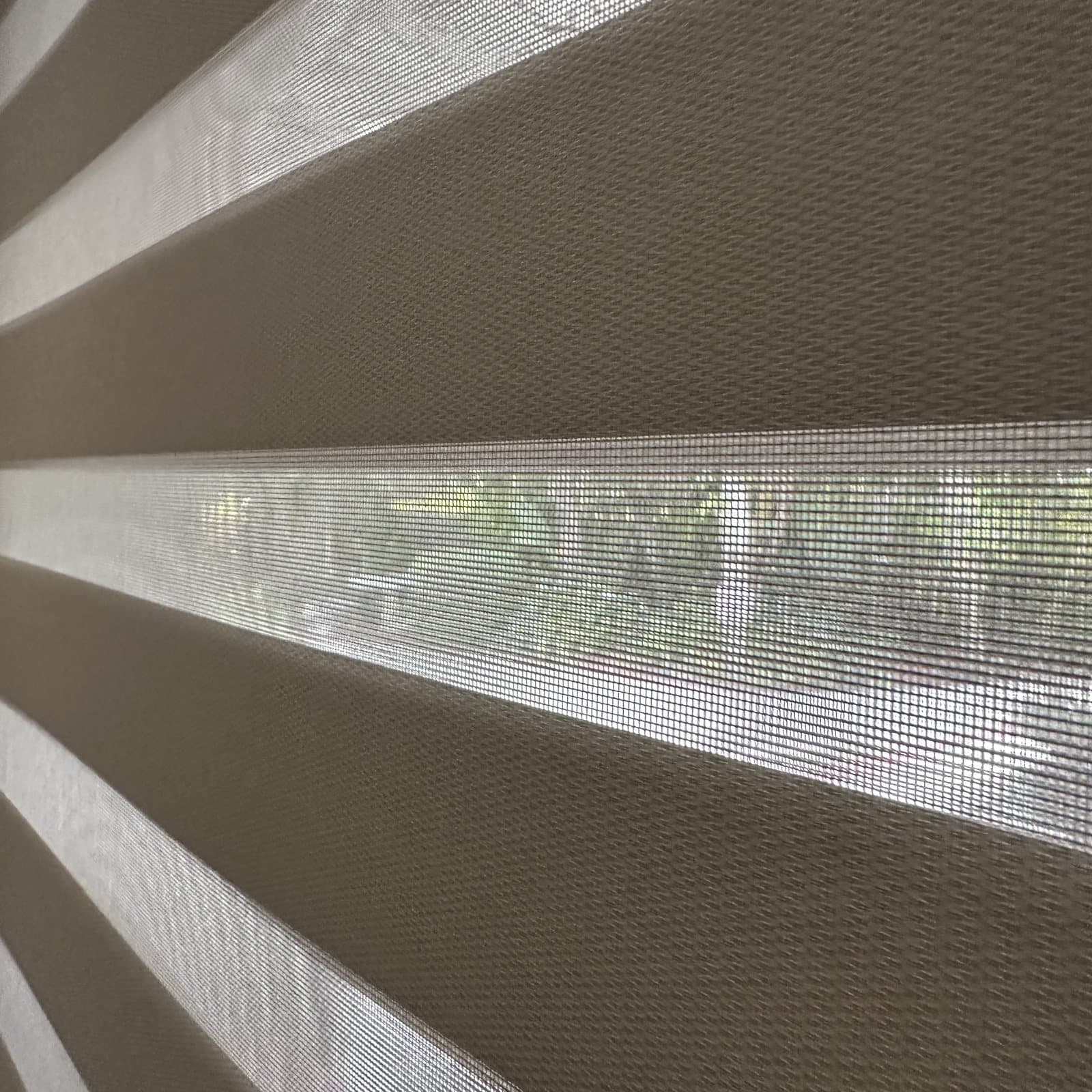 Zebra Shades project photo 32 in Fort Lauderdale