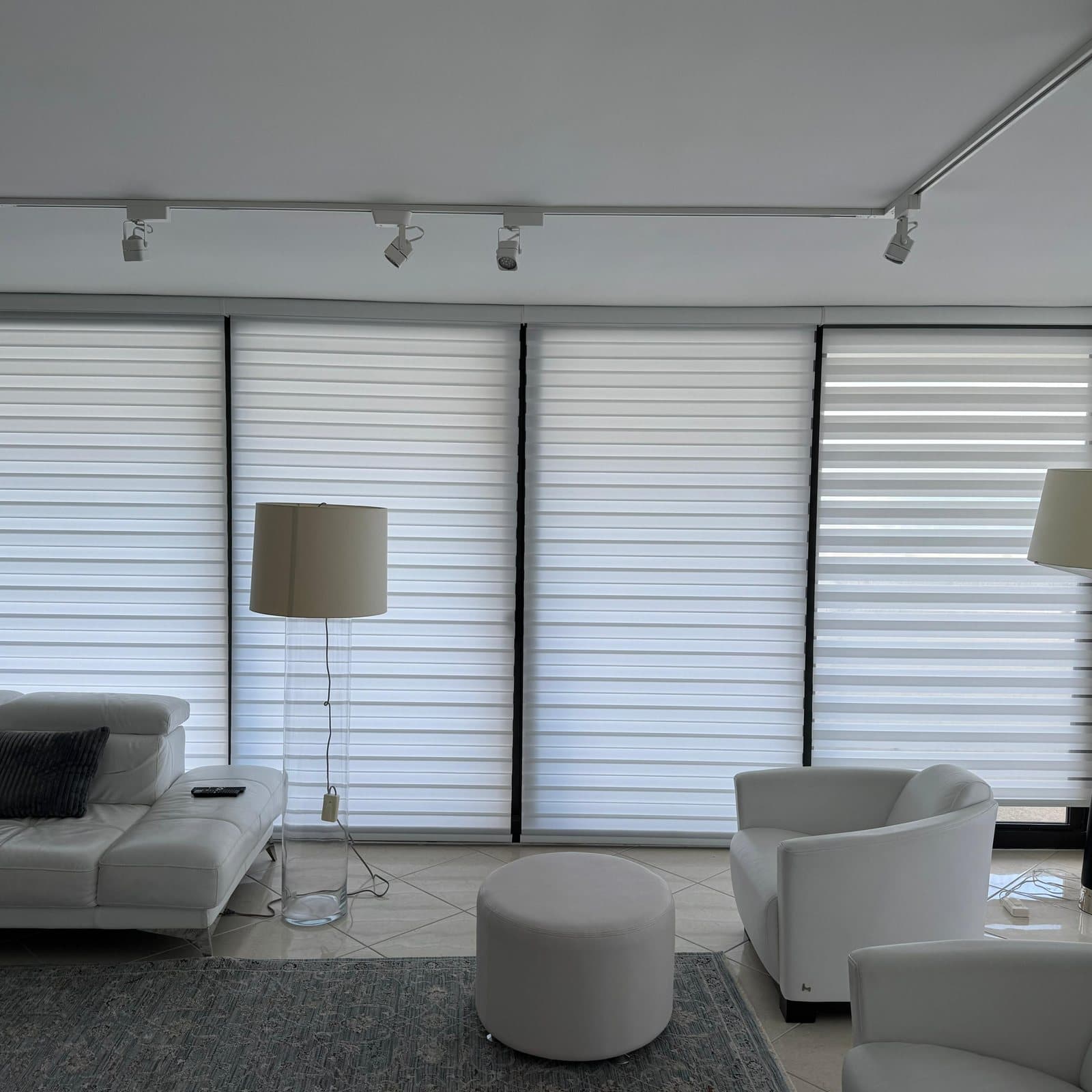 Zebra Shades project photo 3 in South Palm Beach